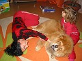 20110101_Div 062
